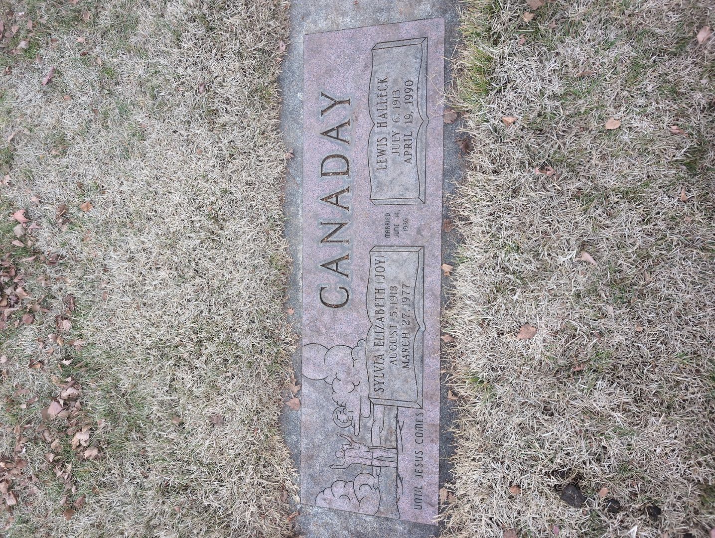 Olive Taylor's grave