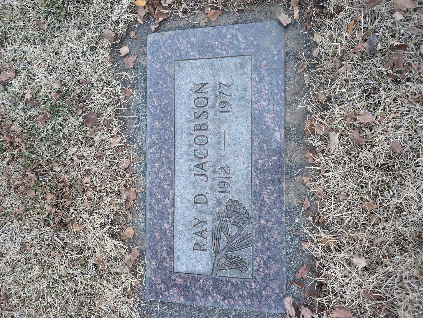 Ray D. Jacobson's grave. Photo 1
