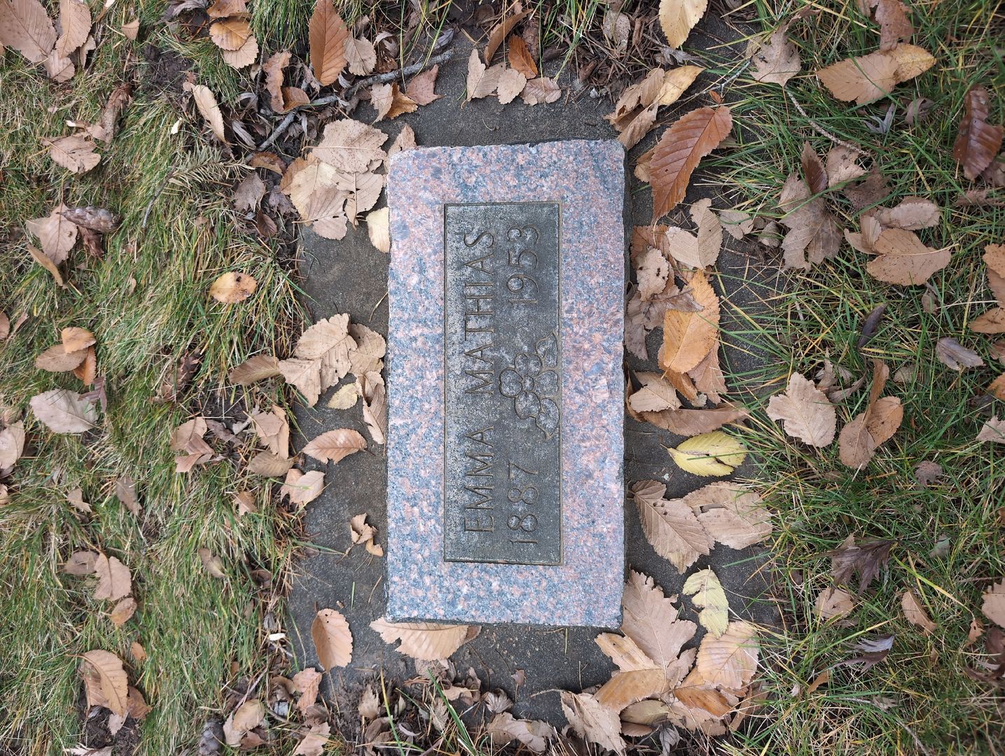 Thomas T. Farris's grave. Photo 1