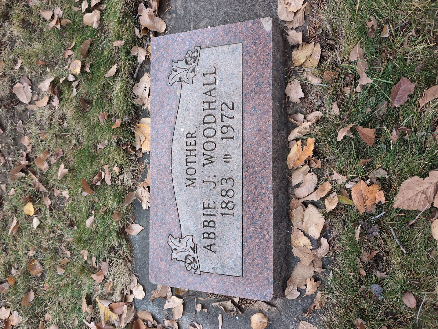 Janye L. Sanders's grave. Photo 1