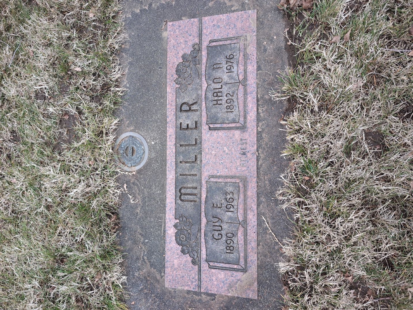 Annie G. Nelson's grave. Photo 1