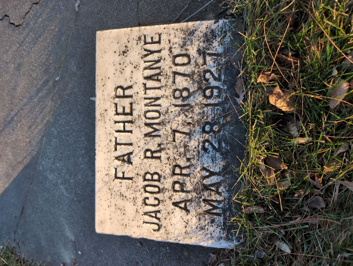 Esther Jansen's grave