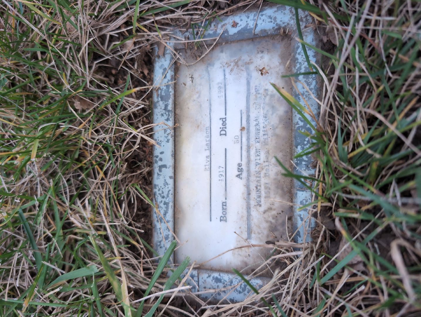 Eldon F. Adamson's grave. Photo 1