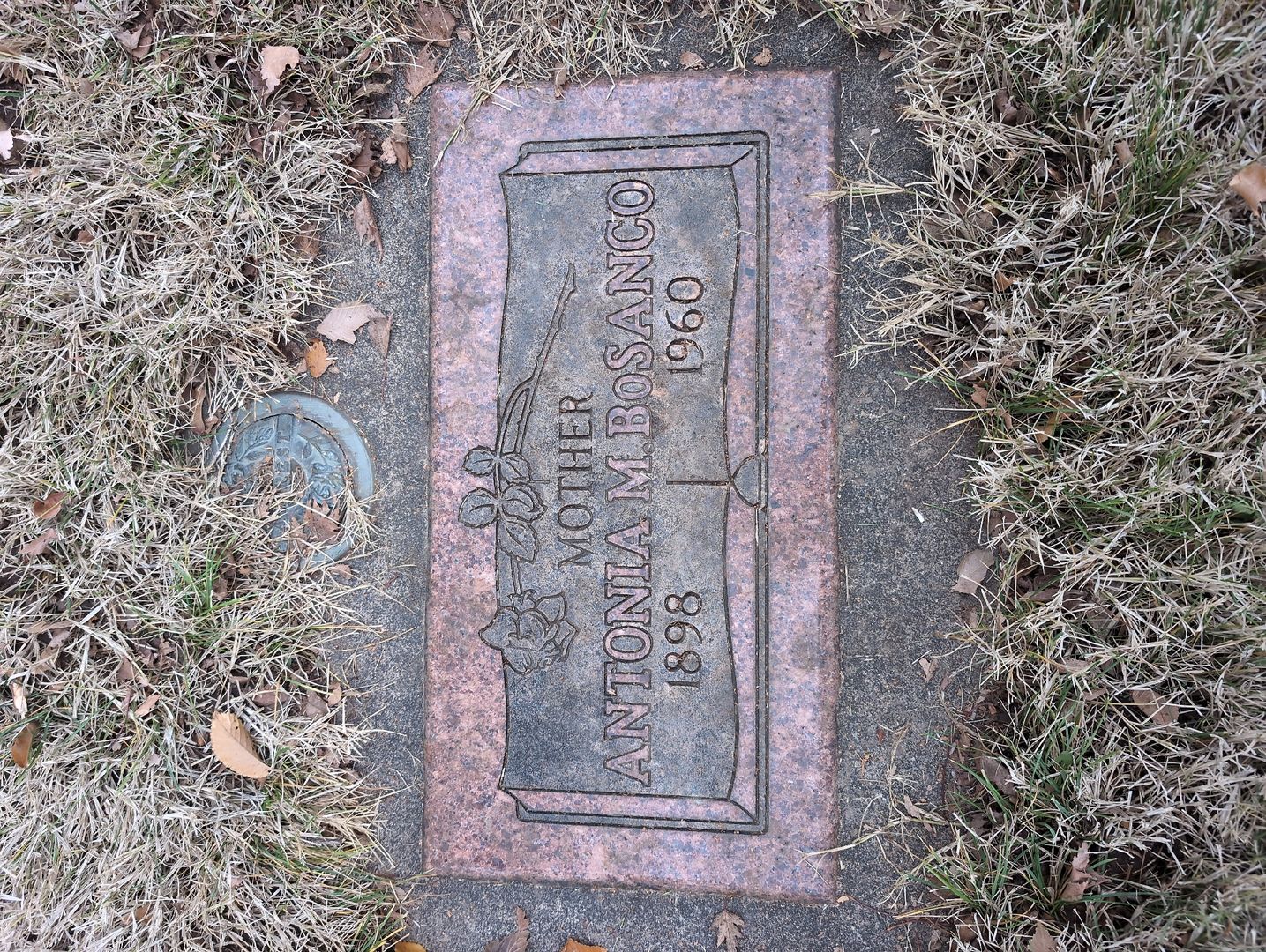 Marla Lee Rasmussen's grave. Photo 1
