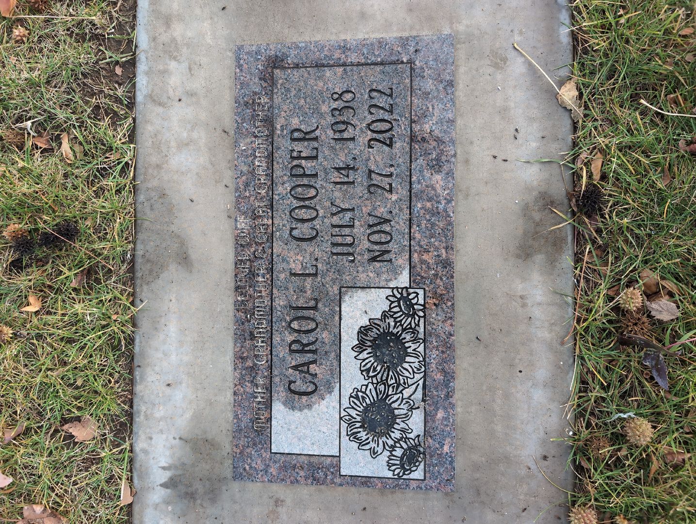 Wilhelmina Clara Ochsner Davis's grave. Photo 1