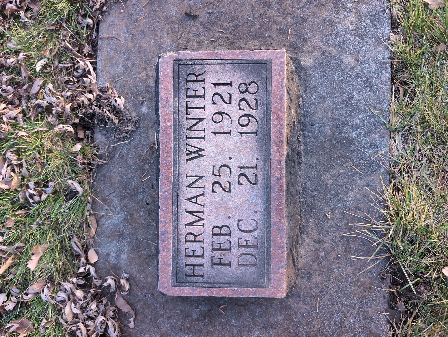 Sylvia Haffner's grave. Photo 1
