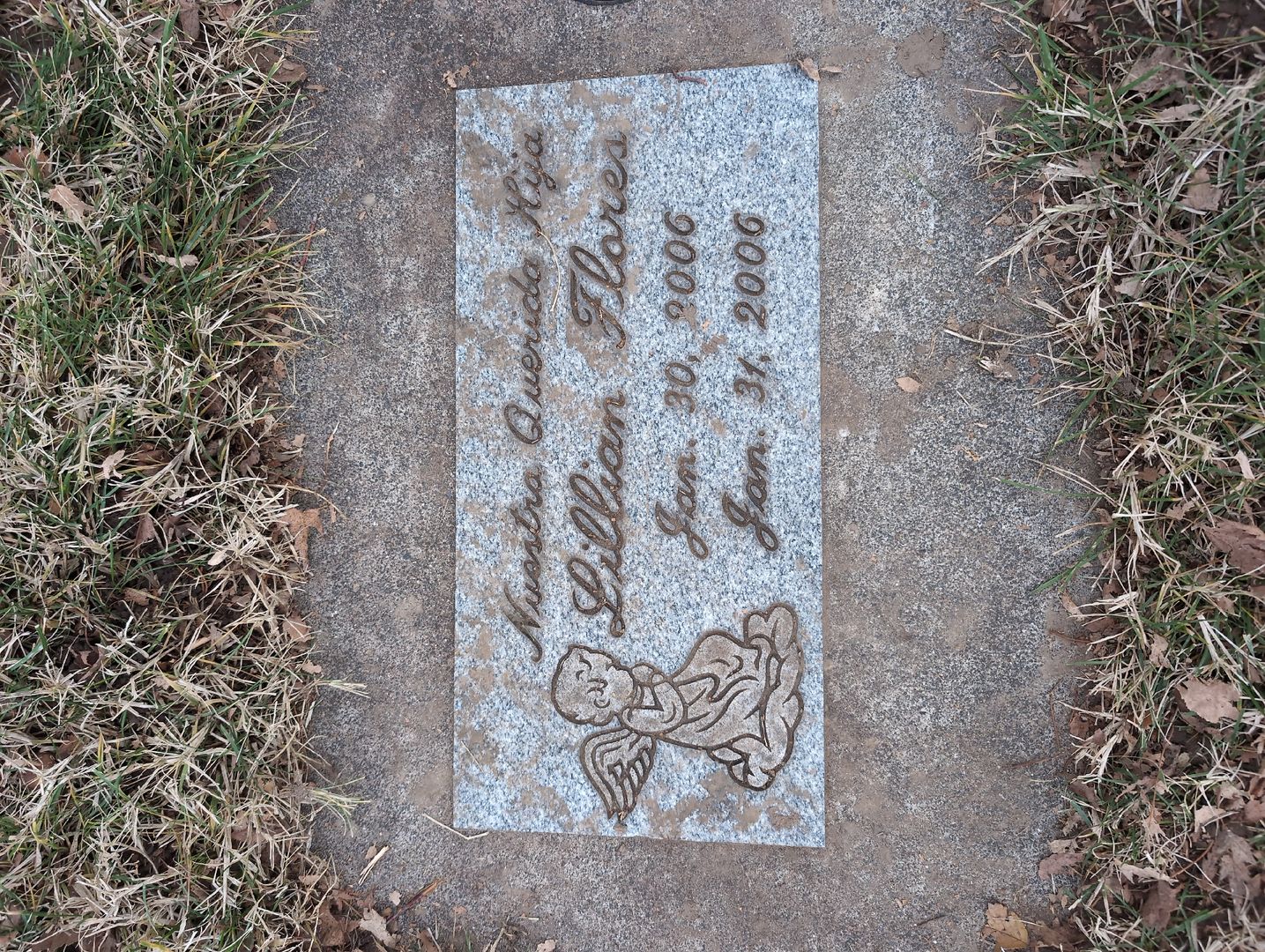 Alyssa Marie Ziegele's grave. Photo 1