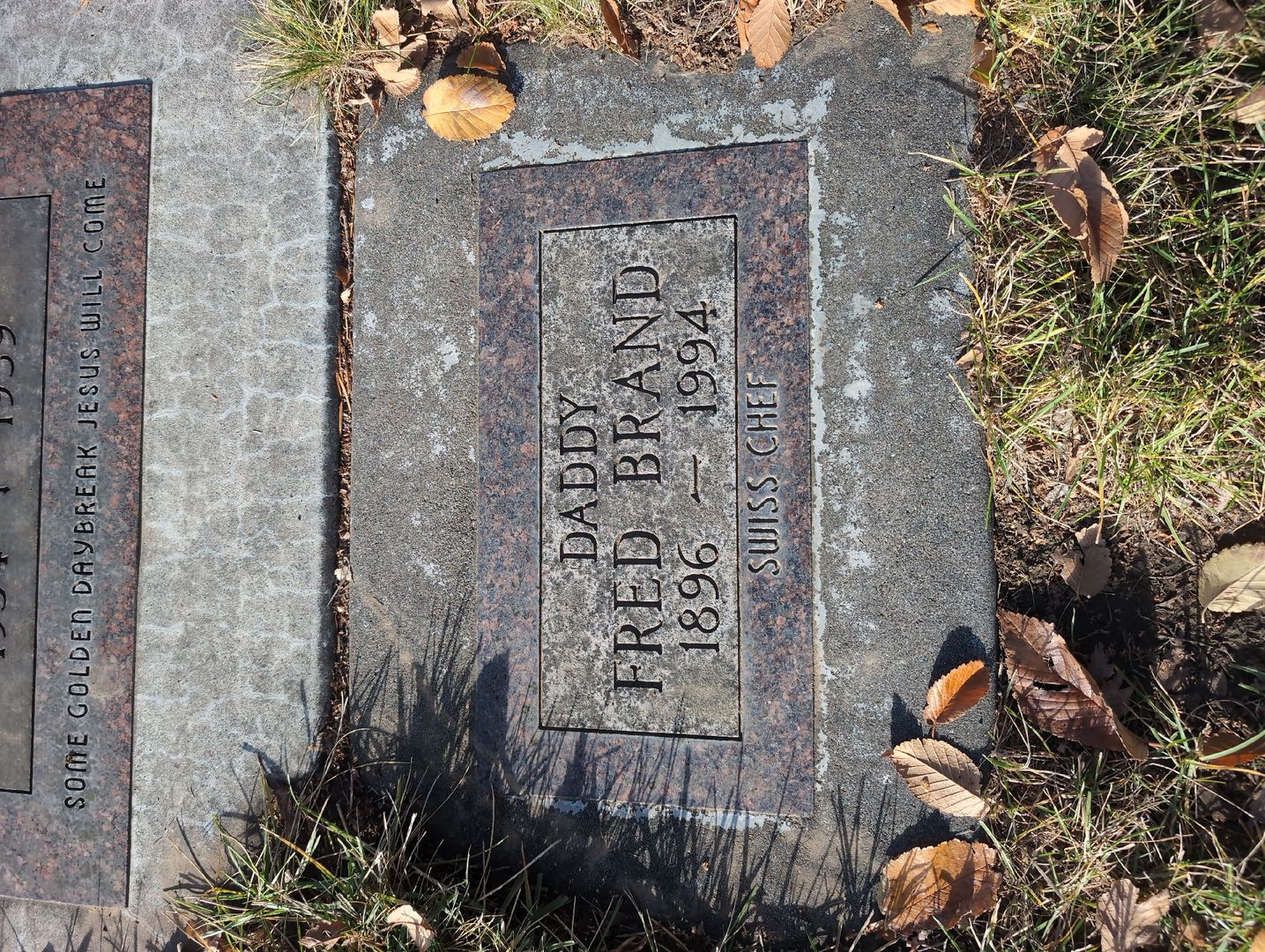 Albert Eadem's grave