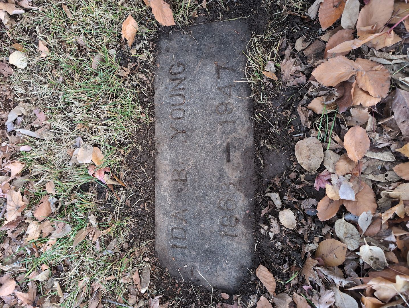 David Fredric Young's grave. Photo 1