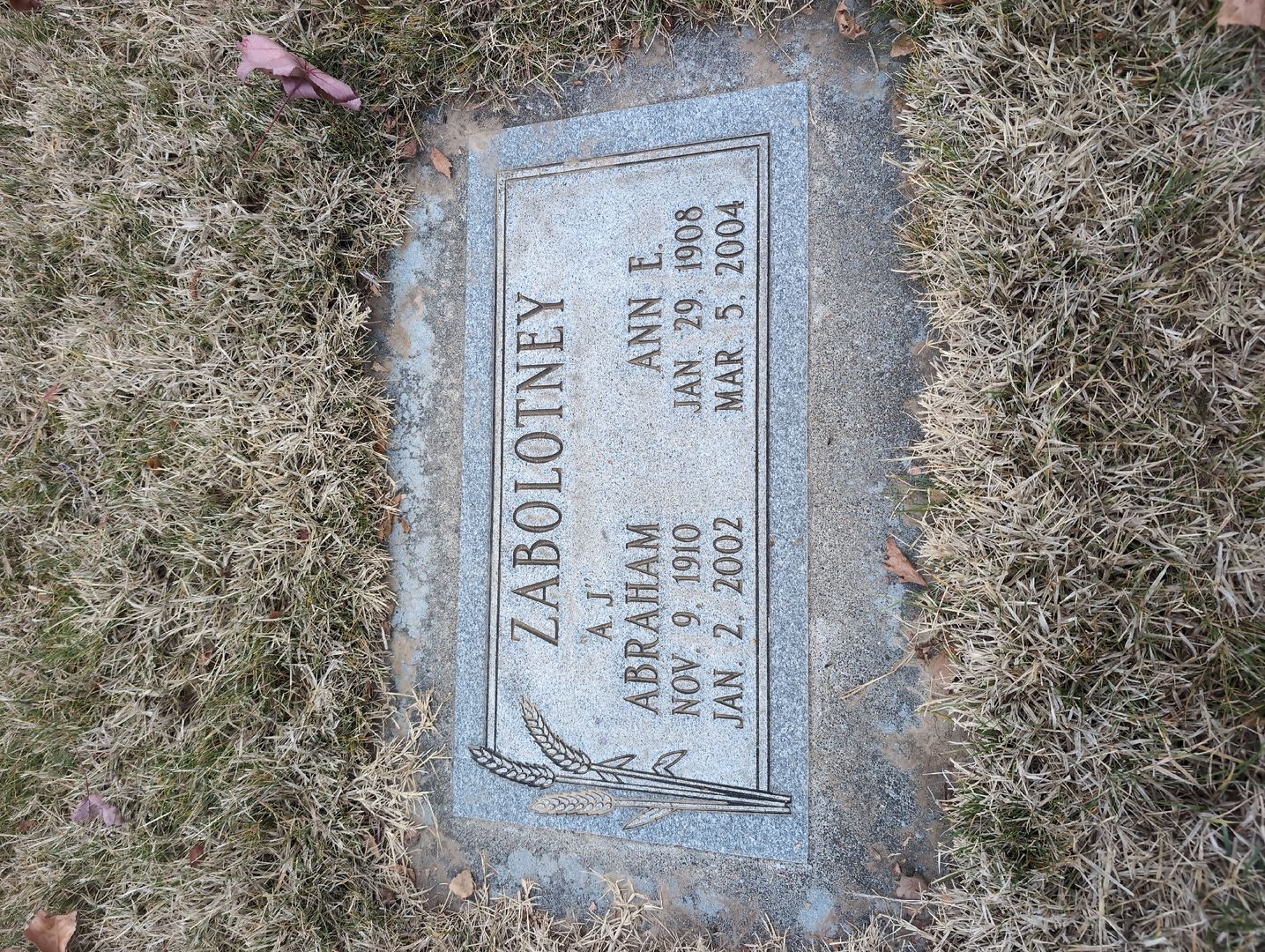 Abraham "A. J." Zabolotney's grave. Photo 1