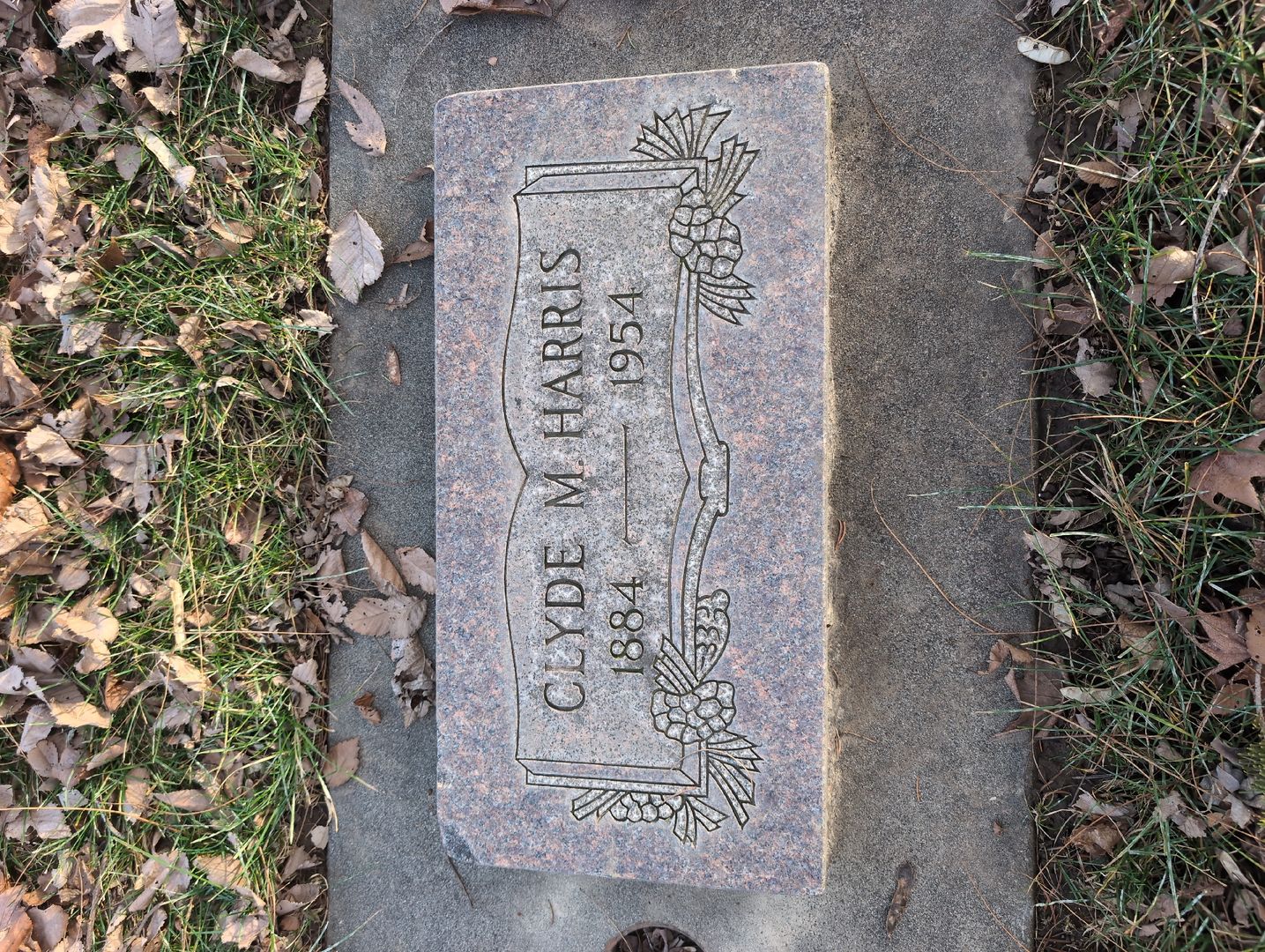 Linnie M. Babcock's grave. Photo 1