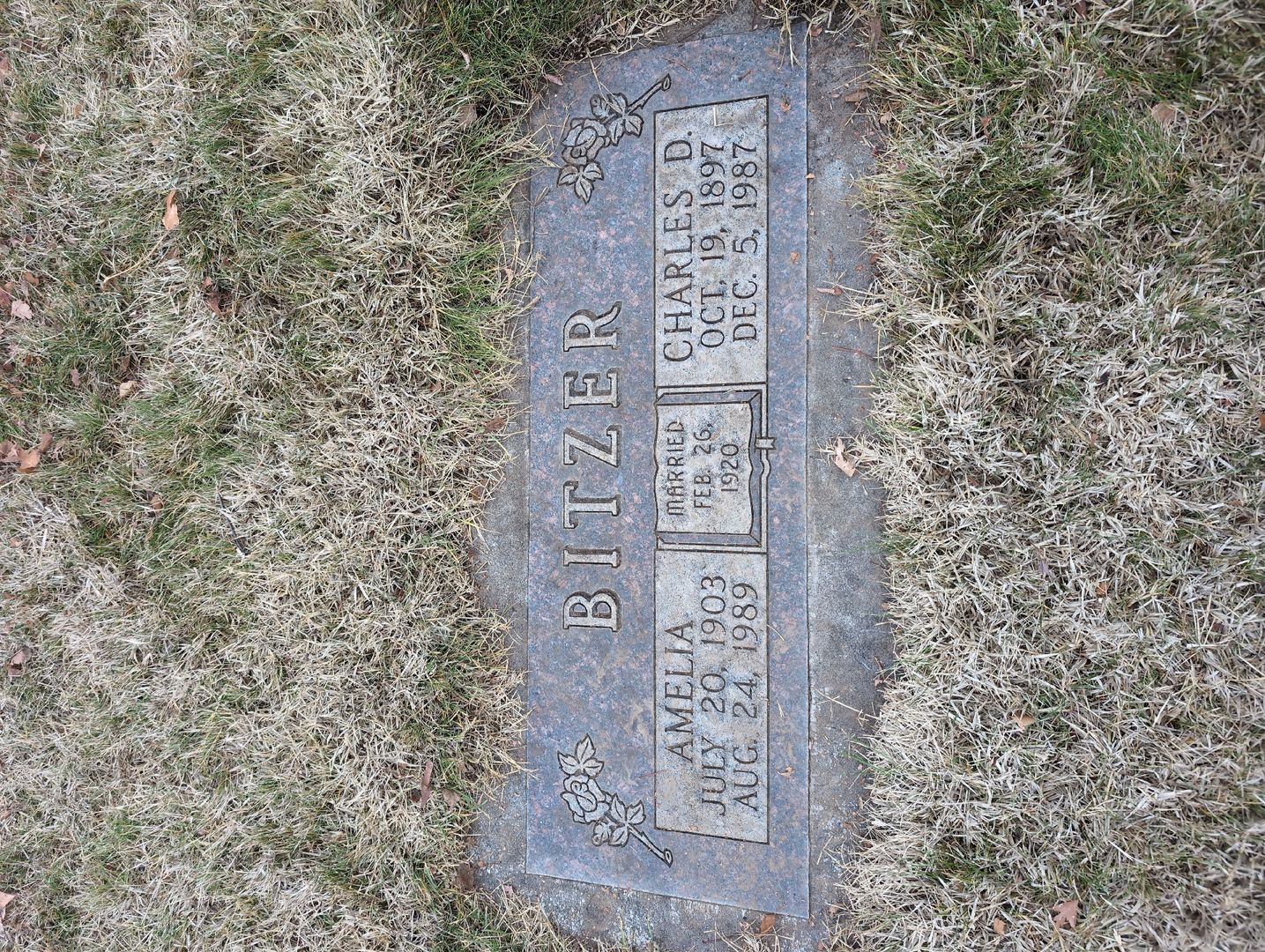 Etta O. Mac Dougall's grave. Photo 1